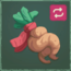 Mandrake Roots